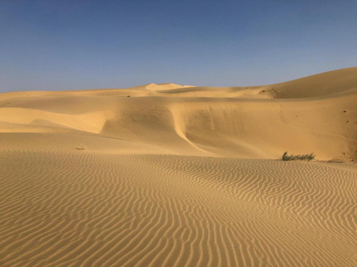 Tofu Hotel & Safari Jaisalmer Zewnętrze zdjęcie