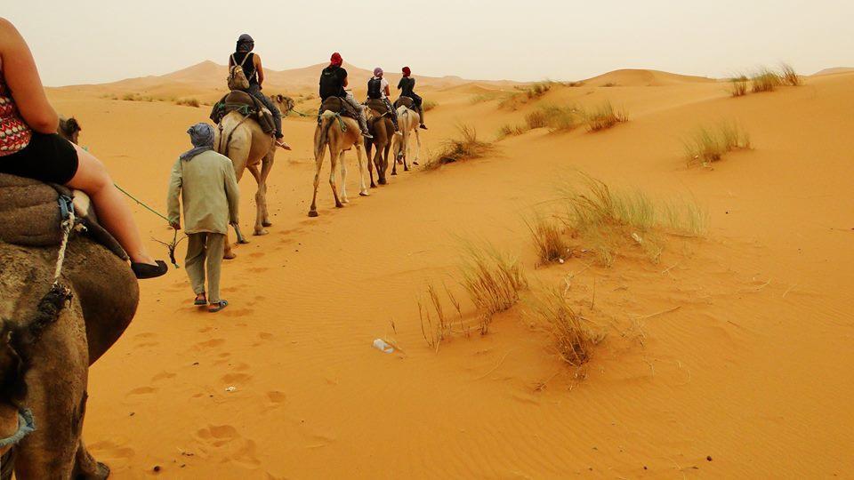 Tofu Hotel & Safari Jaisalmer Zewnętrze zdjęcie